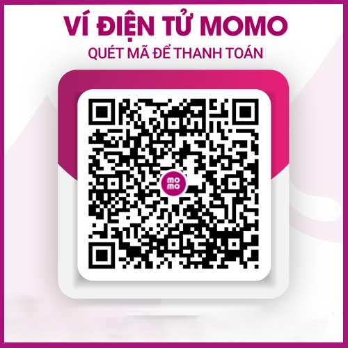 ví momo pvi